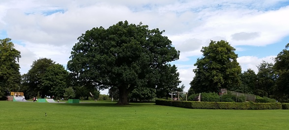 Bedale Park at North End