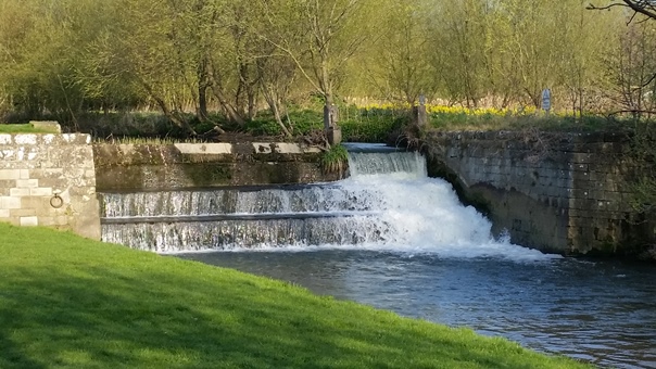 A Waterfall in Bedale surrounded by grass and trees